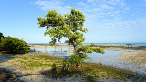 P1050905x